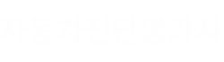 자동차진단평가사